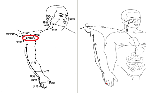 臑俞