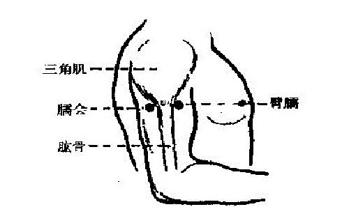 臑俞