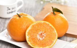 减肥吃橘子好还是橙子好 橘子和橙子哪个更减肥