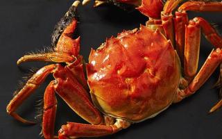冻的熟螃蟹蒸多长时间 冻螃蟹可以直接蒸吗