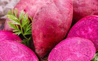 紫薯能和芋头能一起吃吗 紫薯和芋头一起吃有什么好处