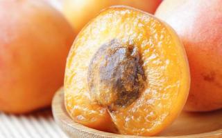 杏子和牛奶能一起吃吗 牛奶和杏同食会中毒吗