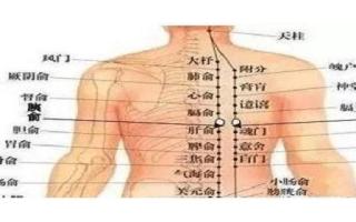 膀胱俞怎么找 膀胱俞的作用与功效