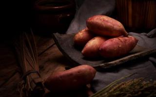 红薯在家里怎么保存 已经发芽的红薯能吃吗