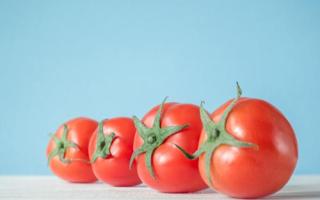 催熟的西红柿能吃吗 黄瓜和西红柿能同吃吗