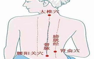 大椎的准确位置图视频 大椎的按摩方法