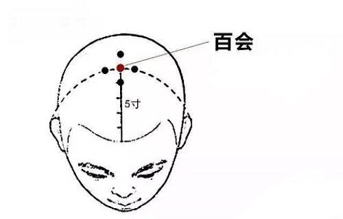 百会