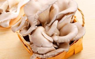 减肥期间吃蘑菇会胖吗 吃什么蘑菇可以减肥