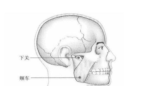 按摩颊车的作用