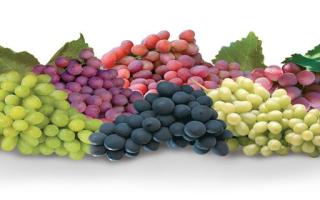 减脂可以吃葡萄吗 健身可以吃葡萄吗