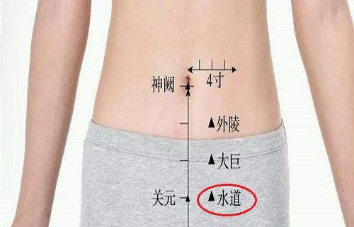 水道的作用与功效 水道准确位置图片