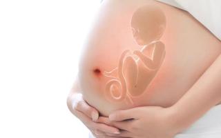 孕妇吃桑葚对胎儿好吗 孕妇一次吃多少桑葚好