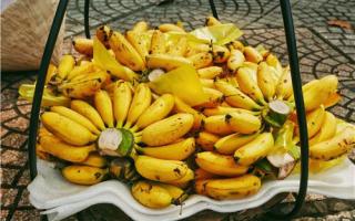 芭蕉和香蕉的区别 芭蕉不能与什么同吃
