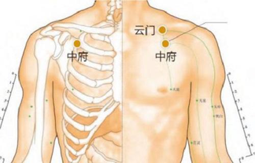 中府的准确位置图作用图片