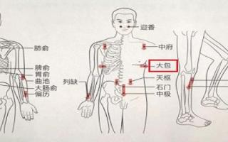 大包的准确位置及功效 怎样按摩大包