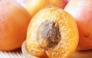 吃黄杏有什么好处 黄杏对人体的作用